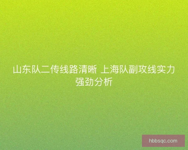山东队二传线路清晰 上海队副攻线实力强劲分析